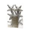 Addobbo Natalizio Set 6 Stelle Color Argento -Forniture Natalizie Negozio 0003713 addobbo natalizio set 6 stelle color argento