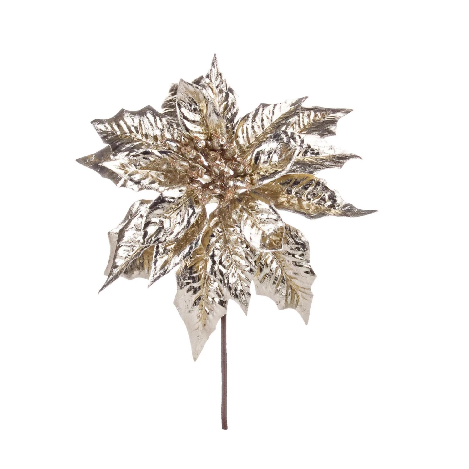 Pick Nature Poinsezia Champagne H=24cm 3 Pick Nature Poinsezia Champagne H=24cm