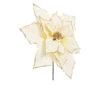Pick Decorazione Floreale Stella Di Natale Excelsior - Oro