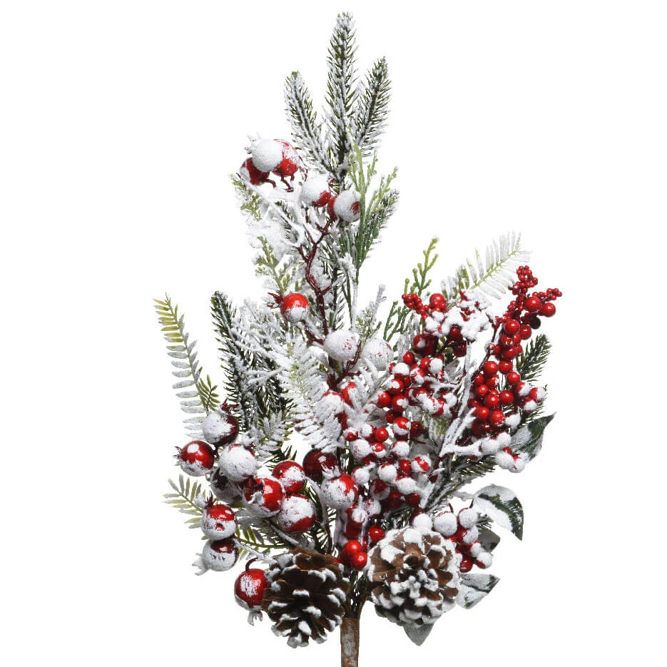 Ramo Innevato Con Bacche Rosse 3 Ramo Innevato Con Bacche Rosse