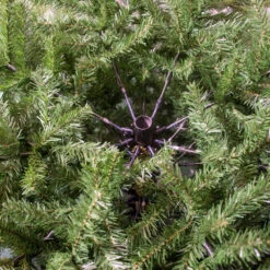 Albero Di Natale Grandis Fir Verde 180cm 7 Albero Di Natale Grandis Fir Verde 180cm -Forniture Natalizie Negozio 0022006 albero di natale grandis fir verde 180cm