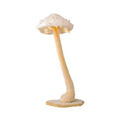 Funghi Luminosi Con Micro LED -Forniture Natalizie Negozio 0056945 funghi luminosi con micro led