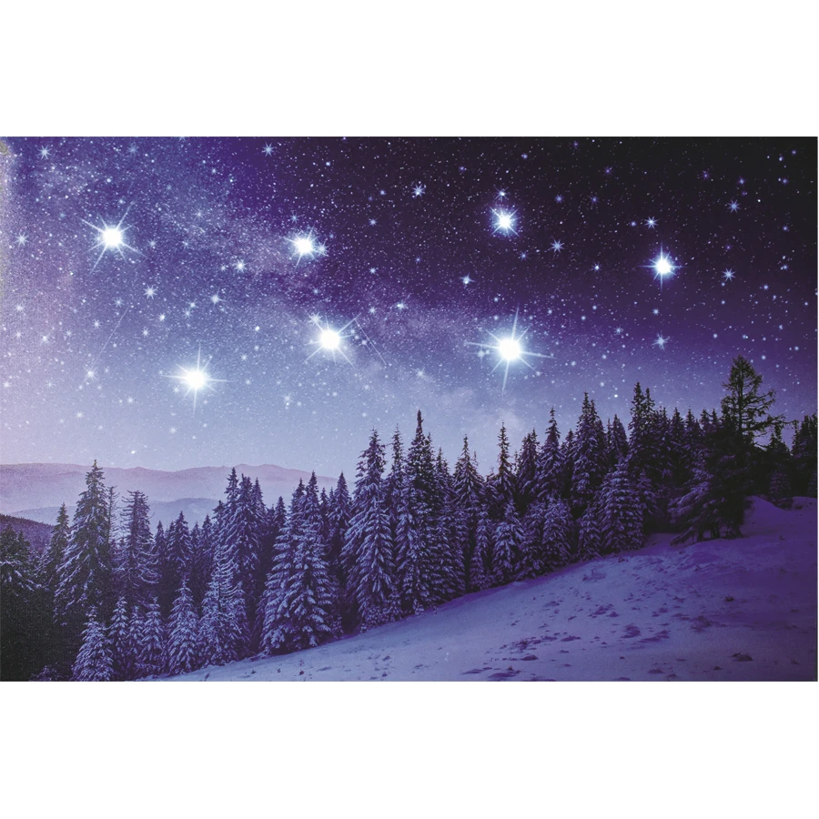 Quadro Natalizio Paesaggio Innevato Di Notte LED E Fibra Ottica A Batteria 3 Quadro Natalizio Paesaggio Innevato Di Notte LED E Fibra Ottica A Batteria