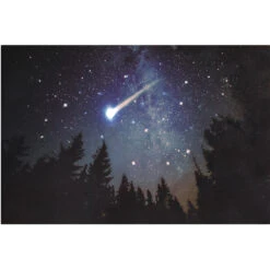 Quadro Natalizio Bosco Di Notte Con Stella Cometa LED E Fibra Ottica A Batteria