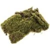Muschio Naturale A Tappeto Per Presepe 90g 1 Muschio Naturale A Tappeto Per Presepe 90g -Forniture Natalizie Negozio 0074614 muschio naturale a tappeto per presepe 90g