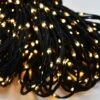 Catena Di Luci 96 Nano Beanled Luce Calda Con Giochi Luce 7m 1 Catena Di Luci 96 Nano Beanled Luce Calda Con Giochi Luce 7m -Forniture Natalizie Negozio 0092434 catena di luci 96 nano beanled luce calda con giochi luce 7m
